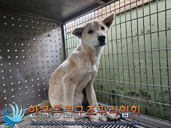 한국동물구조관리협회_441409202401873